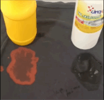 Gel javellisé Cinqd – Image 2